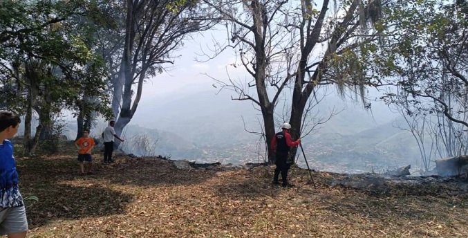 Incendios forestales en Mérida se mantienen activos