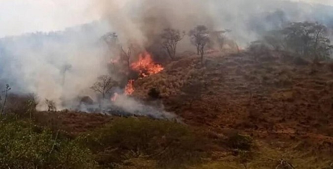 Registran más de 90 incendios en Falcón