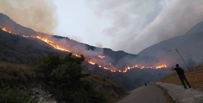 Ministro Lorca: 61 mil hectáreas afectadas por más de tres mil incendios en el país