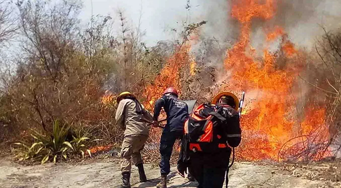 Capturan a 16 personas por vinculación con incendios forestales en Venezuela