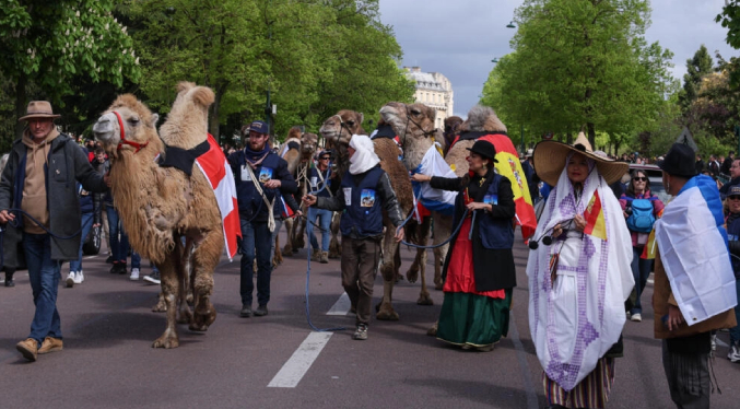 Realizan en París polémico desfile de camélidos de todo el mundo