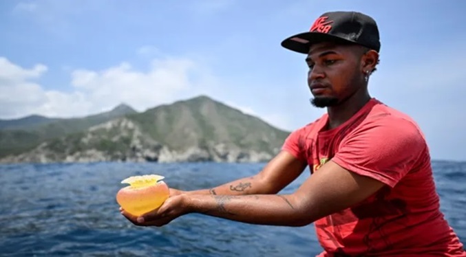 Brote de medusas azota a los pescadores de Chuao