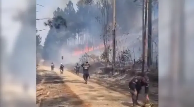 Lacava sobre incendios en Carabobo: «Estamos combatiendo con todos nuestros bomberos»