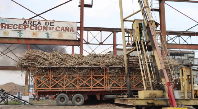 Récord de 500 mil toneladas de azúcar molido se registró en Portuguesa