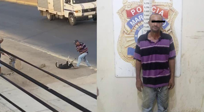 MP imputará a Regino Melean por asesinar a un perro comunitario en Maracaibo