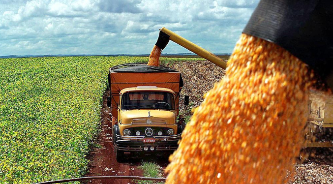 La cosecha de granos en Brasil caerá un 5,9 % este año por el impacto del clima
