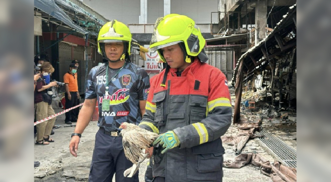 Un incendio arrasa el mercado de mascotas de Bangkok y mata a cientos de animales