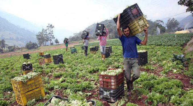 Consideran que el campo requiere unos $1.500 millones al año durante 5 años