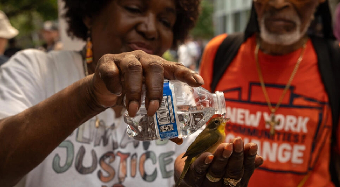 Decenas de millones de personas sofocadas por ola de calor en el este de EEUU