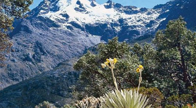 Cámara de Turismo de Mérida asegura que servicios han mejorado y llaman a temporadistas a visitar la región