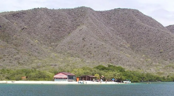 Extraen más de 66 kilos de basura de La Ciénaga de Ocumare de la Costa