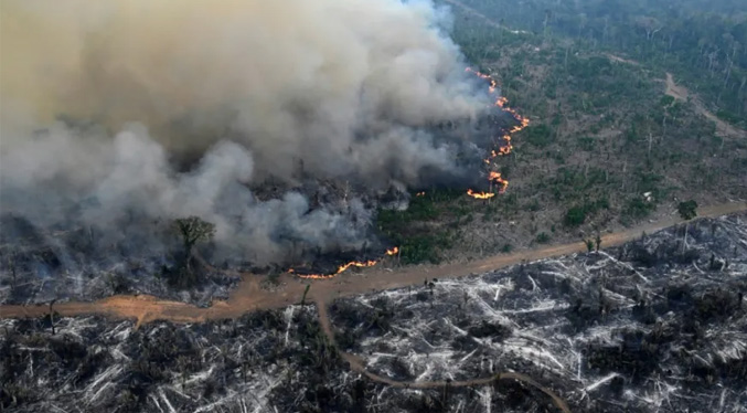 Informan que deforestación en la Amazonía arrasó con un área tan grande como Colombia