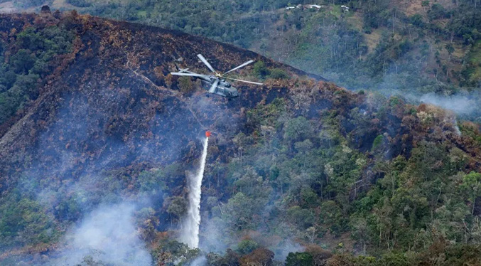 Perú declarará en emergencia tres regiones afectadas por los incendios en la Amazonía