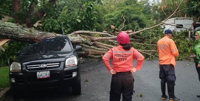 Lluvias causan anegaciones y árboles caídos en la Gran Caracas