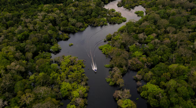 BID: Negocios «verdes» son clave para el desarrollo de la Amazonía en Colombia