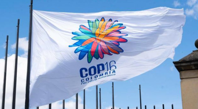 Cali recibe al mundo en la COP16 para abordar tarea pendiente de proteger la biodiversidad