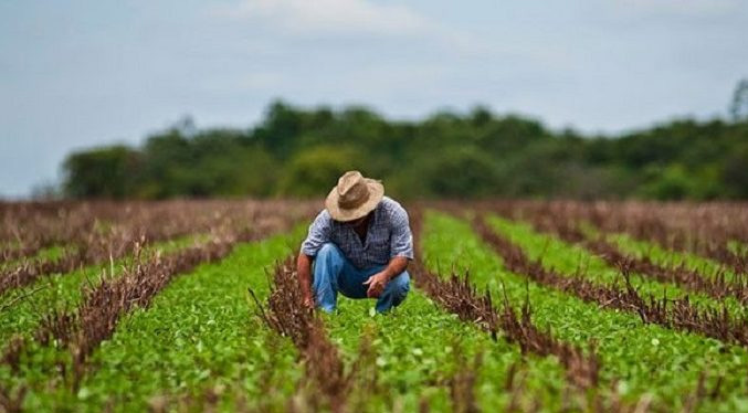 «Agricultura de contrato», la nueva modalidad para fortalecer la siembra en el país