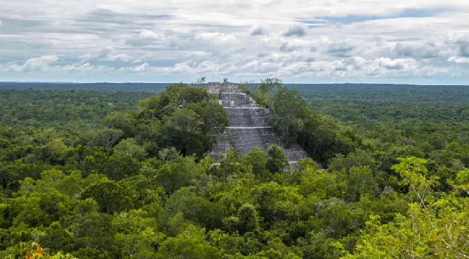 Hallan «por accidente» una ciudad perdida de la civilización maya que dormía ocultada por la vegetación