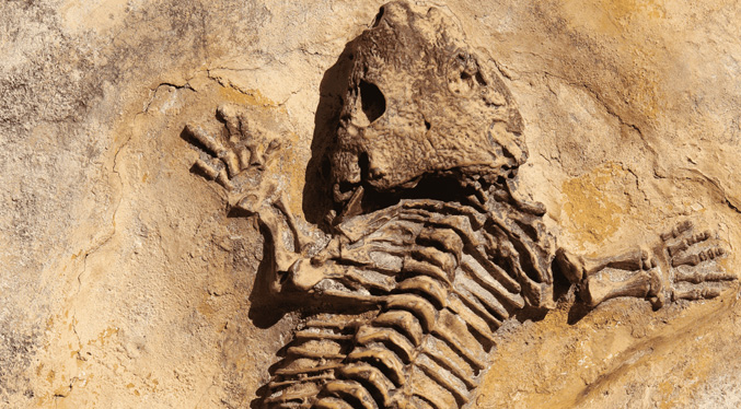 Descubren huellas de la Prehistoria en los Alpes durante una caminata