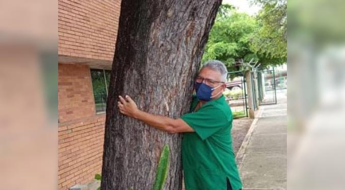 El 17 de noviembre se celebra el día del Abrazo al Árbol