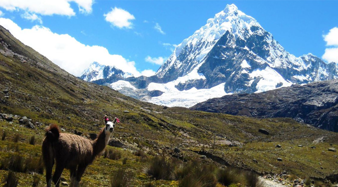 Glaciares de los Andes tropicales se derriten diez veces más rápido, según un informe