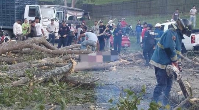 Motorizado muere en Bejuma tras caerle un bucare encima