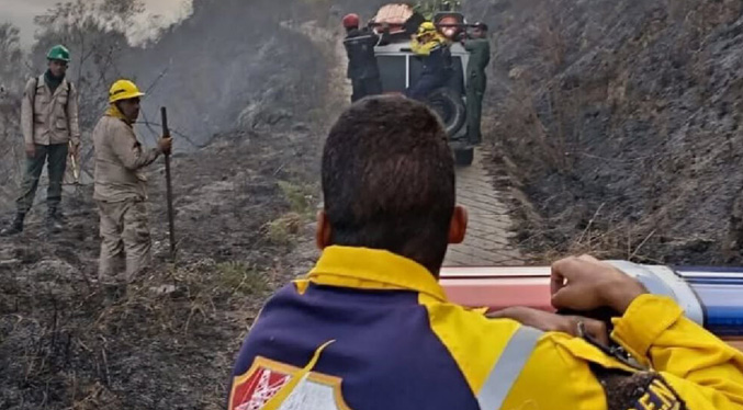 Autoridades se mantienen desplegadas por incendios de vegetación en Mérida