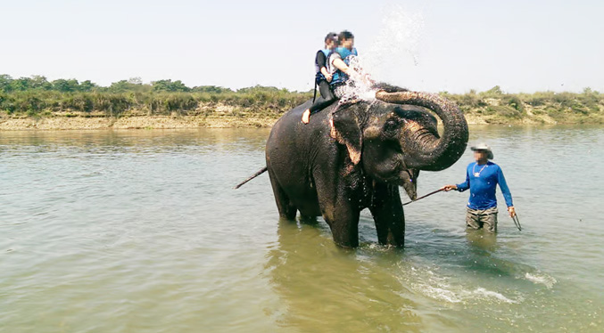 El baño con elefantes, la popular actividad turística tailandesa criticada por animalistas