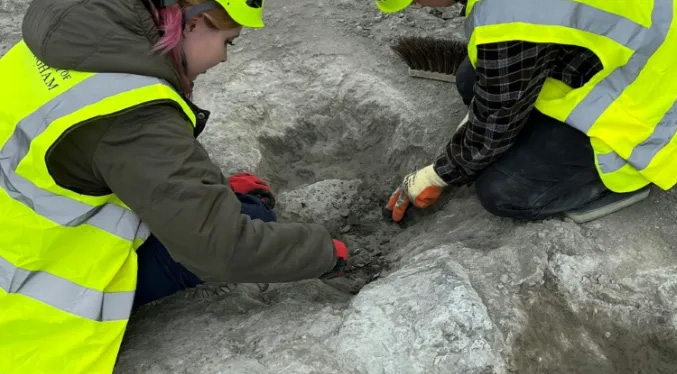 Descubren el mayor sitio de huellas de dinosaurios del Reino Unido