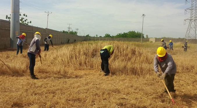 Labores preventivas en instalaciones eléctricas favorecen a más de 80 mil zulianos