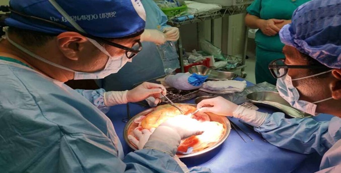 Noboa otorga nacionalidad ecuatoriana a un cirujano venezolano