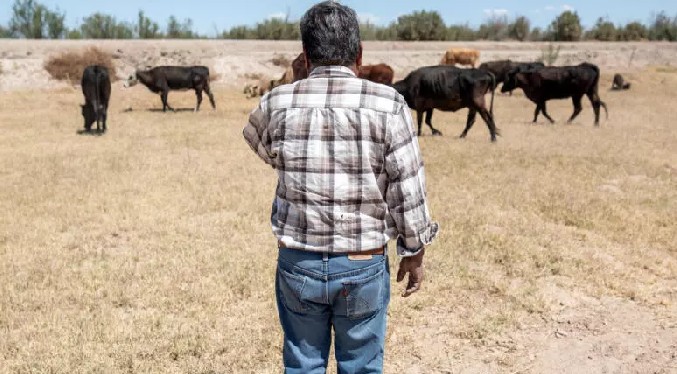 EEUU revisará en México las medidas contra la plaga del gusano barrenador