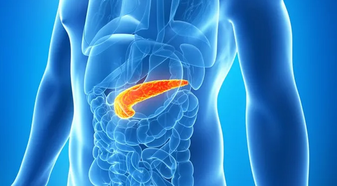 Estudio vincula el consumo de alcohol con una mayor incidencia del cáncer de páncreas