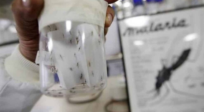 Primera vacuna contra la malaria se fabricará en la India