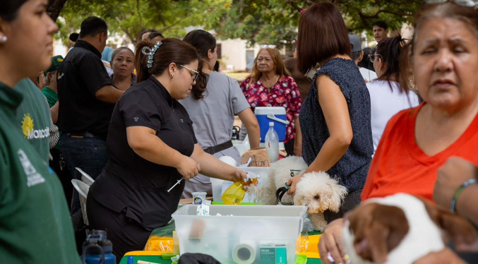 Alcaldía realizará el 28-J una jornada veterinaria gratuita en la parroquia Coquivacoa
