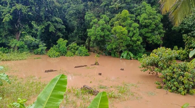 Inundaciones en Bolívar: Viviendas y cultivos afectados por crecida de río