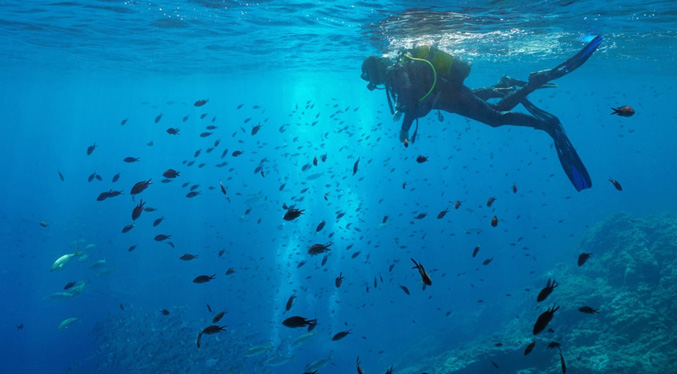 Gobierno busca fortalecer la investigación en el campo de la oceanología