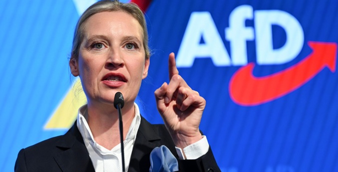 Ultaderechista AfD ve en debate sobre ilegalizar su partido paralelismo con Alemania nazi
