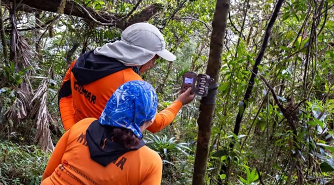 Estudian animales del Waraira Repano con cámaras