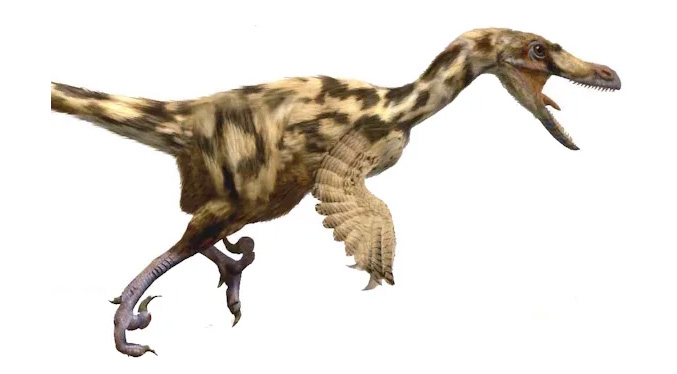 Estudio revela que en los Pirineos había una gran diversidad de dinosaurios carnívoros