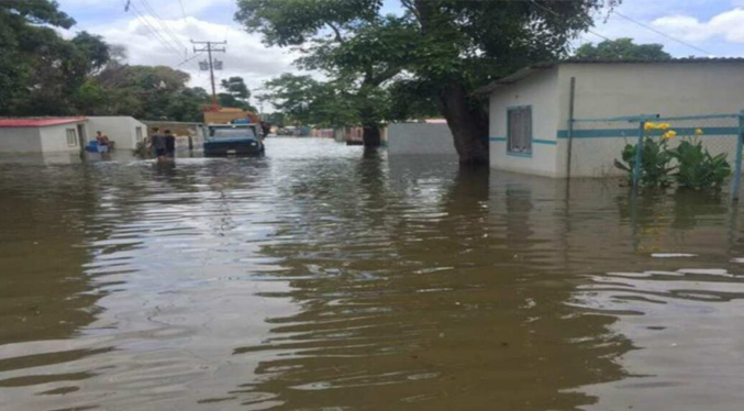 Las crecidas en el Orinoco son naturales, pero la prevención es clave