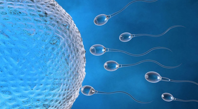 Investigadores belgas desarrollan un sistema que emplea IA en tratamientos de fertilidad