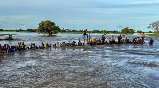 Cuatro municipios de Apure en alerta por presentar 80 % de inundación