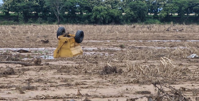 Lluvias impidieron cumplir las metas de siembra en Portuguesa