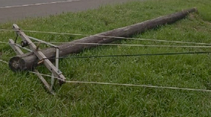 Niño muere junto a las reses que pastoreaba tras caída de tendido eléctrico en Portuguesa