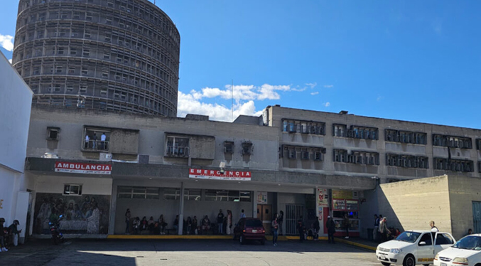 Fallece una mujer tras ser atacada por tres perros en Mérida