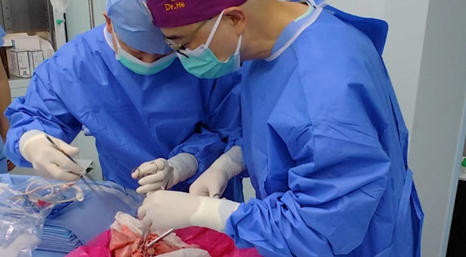 Realizan el primer trasplante de pulmón de cerdo a un humano en muerte cerebral