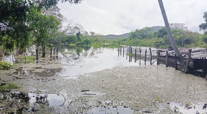 Familias en la zona de Los Castillos de Guayana reportan afectaciones en Delta Amacuro