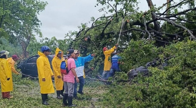 Fuerte lluvia provoca anegaciones y caída de árboles en la zona norte de Anzoátegui