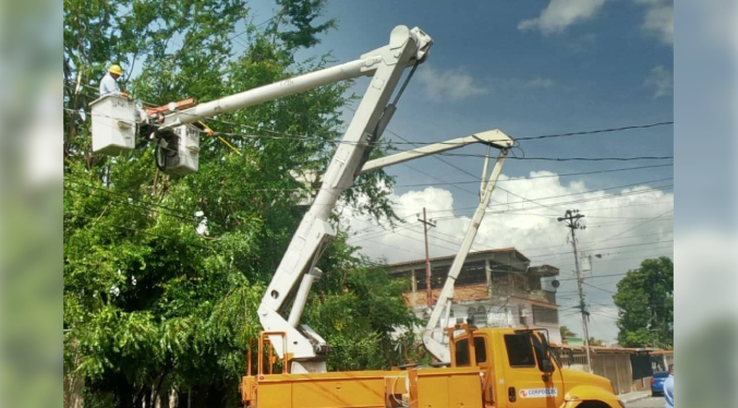 CORPOELEC realizará jornada de control de vegetación en 12 municipios de los estados Falcón, Lara y Zulia